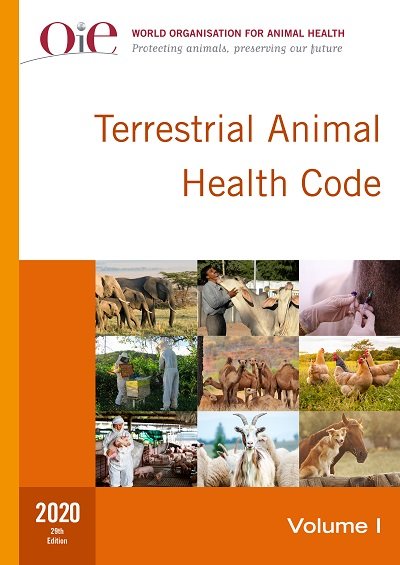 Resource 3 External Video