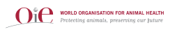 OIE